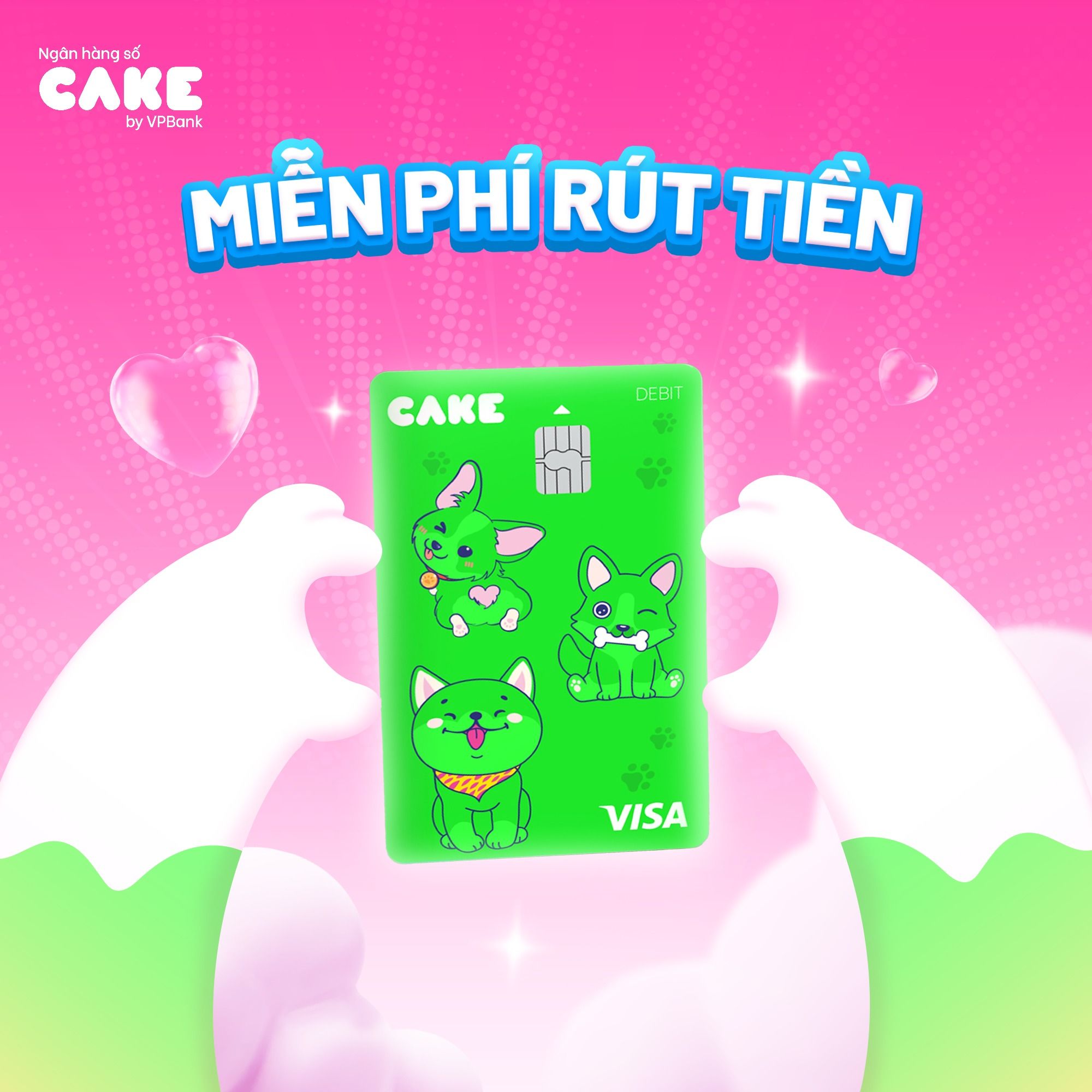 the-visa-debit-la-gi-4.jpg