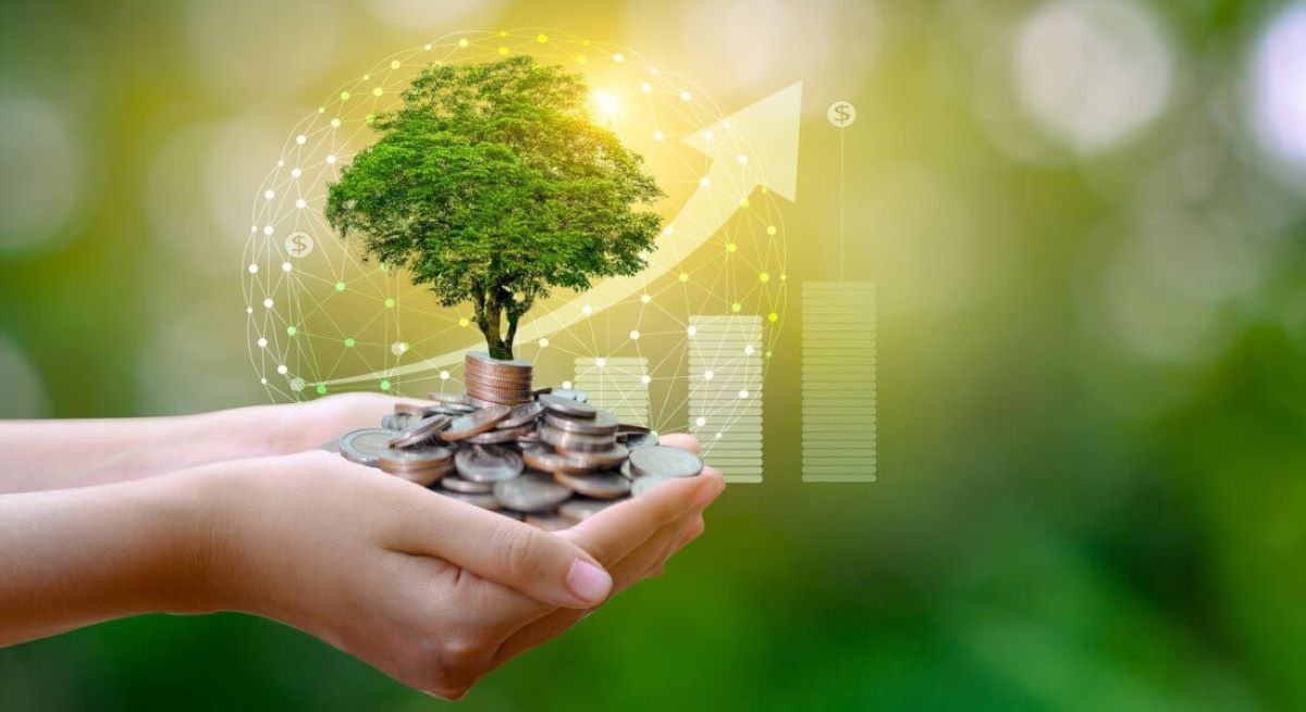 Tự do tài chính là trạng thái bạn không còn phụ thuộc hoàn toàn vào thu nhập từ công việc